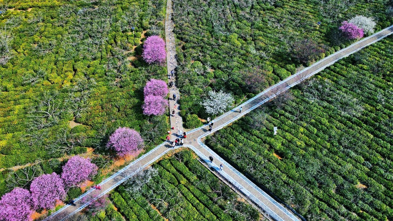 Stadt der Präfektur Lishui in Jiangsu