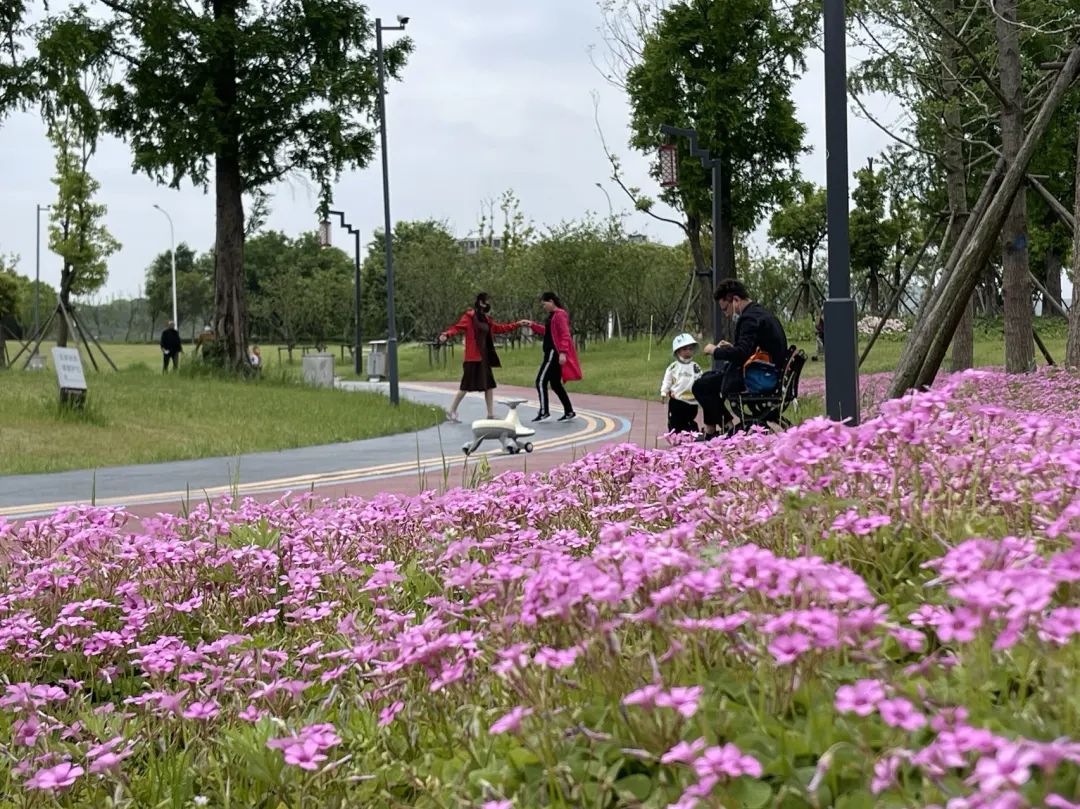 Nanjing hat sie auf diese Weise gebaut.